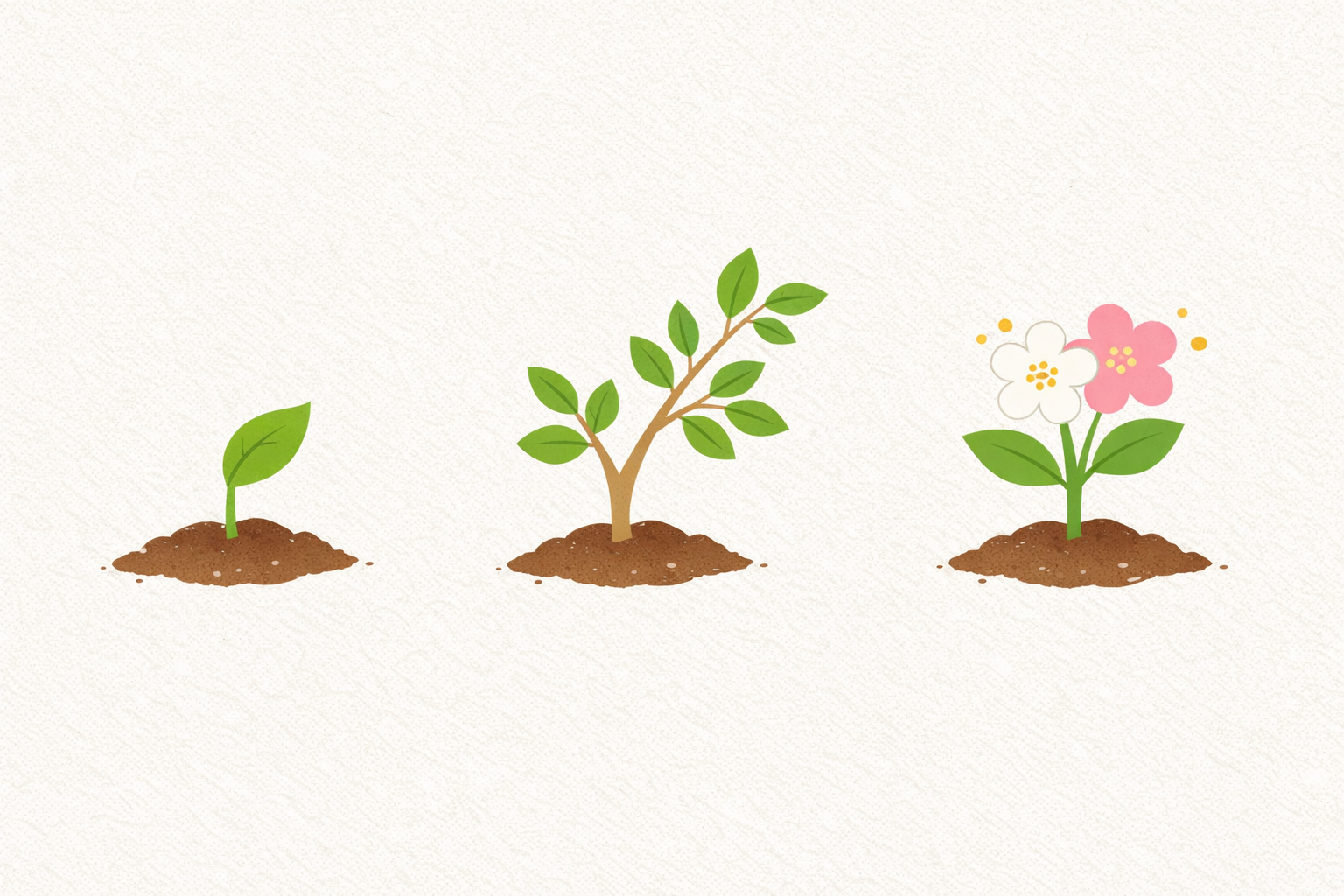 コミュニケーション力